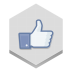 Facebook Like Icon